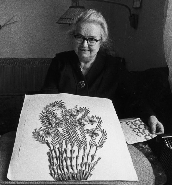 آنا زيمكلوف آنا زيمكلوف