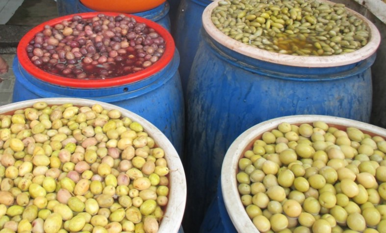 انتاج زيتون المائدة المخلل بمطروح وسيوة