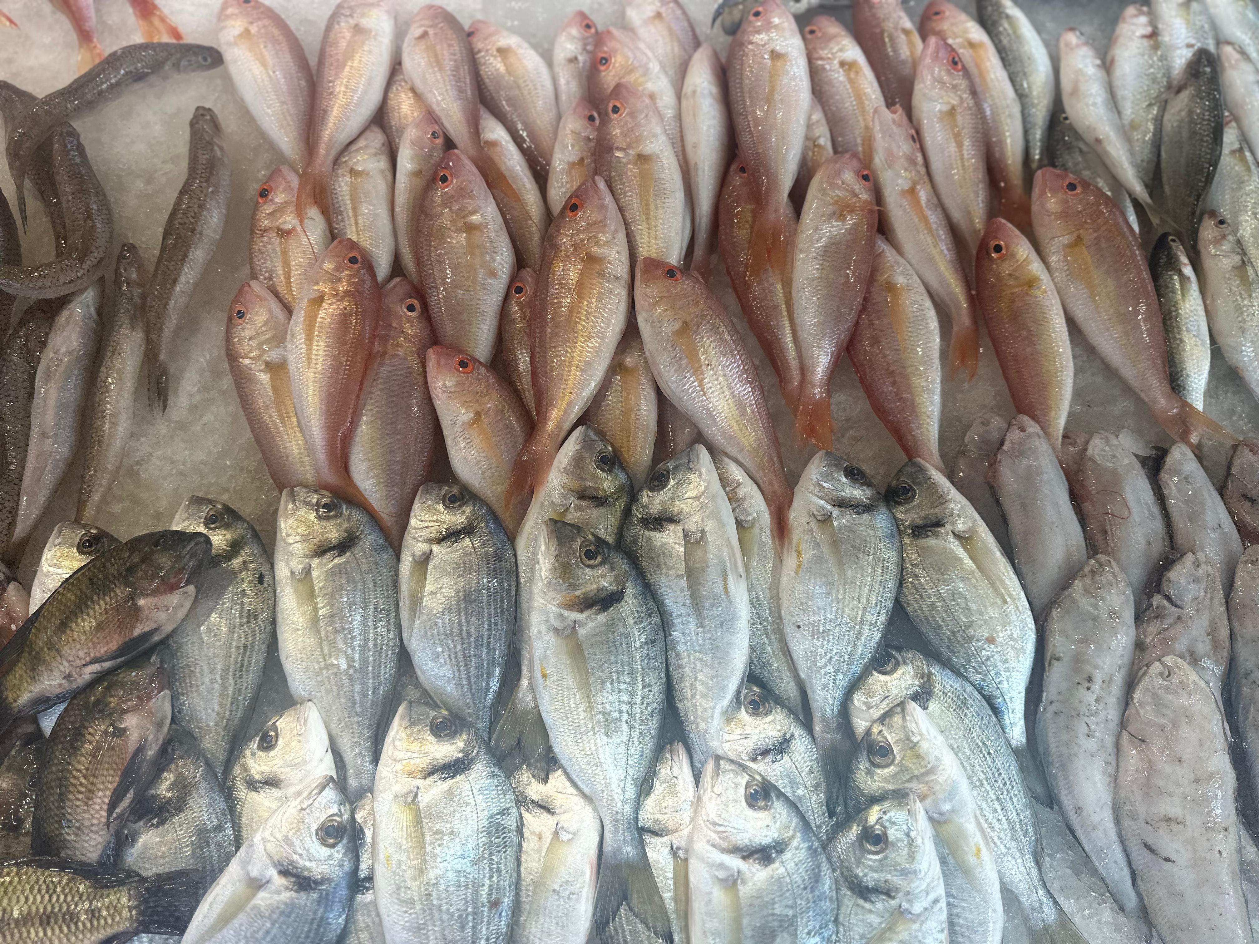 دنيس وبربوني