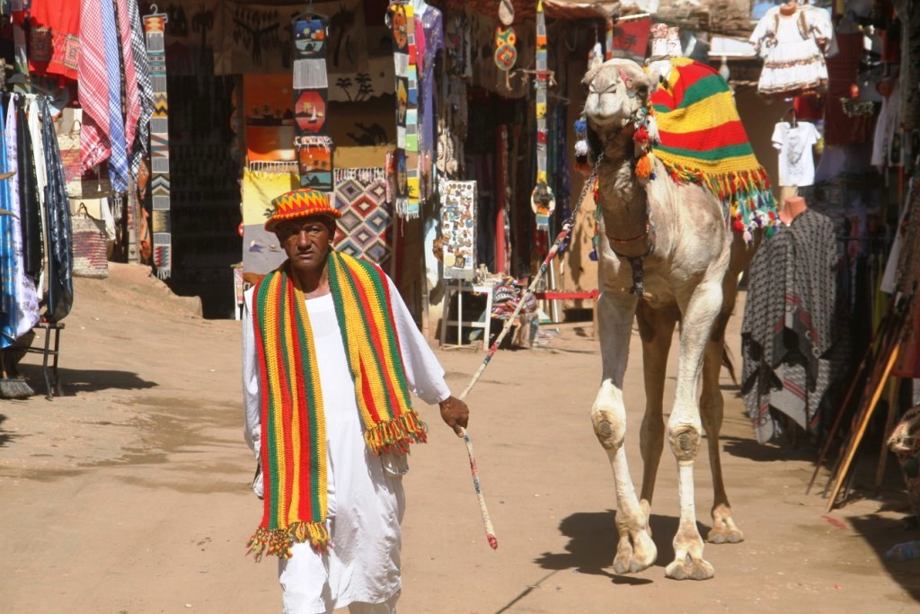 ركوب الجمال بغرب سهيل