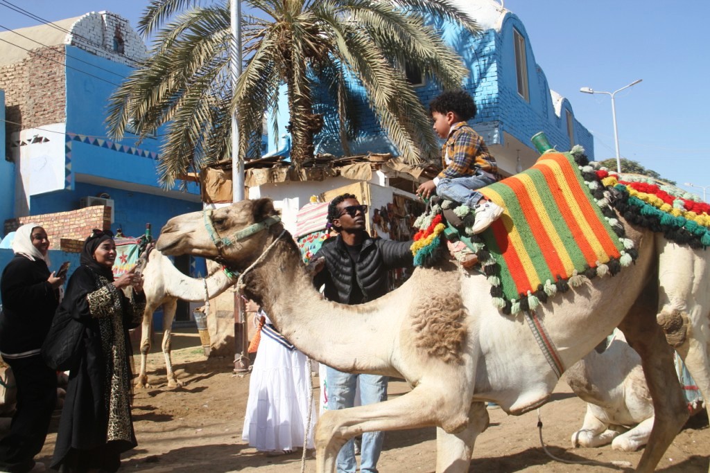 ركوب الجمال