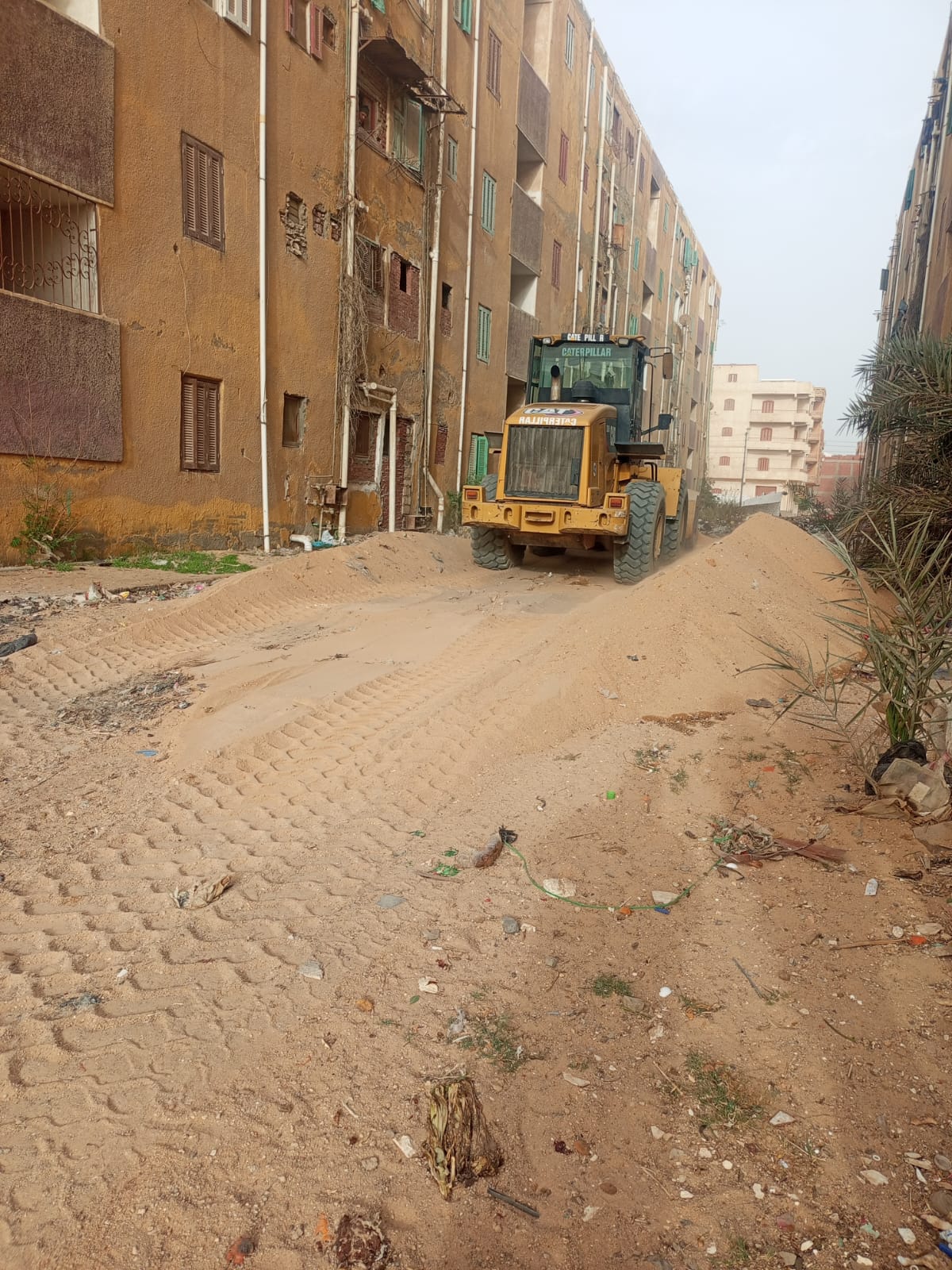 استجابة سريعة لشكاوى تراكم المخلفات بمنطقة مساكن الصفراء بالبحيرة