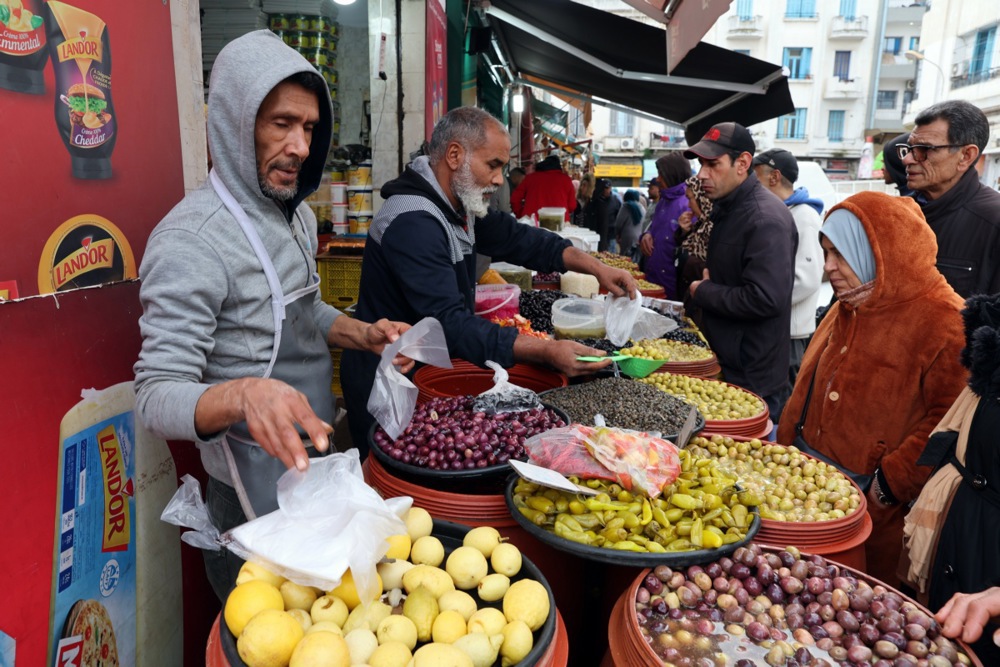 التمور فى تونس (5)