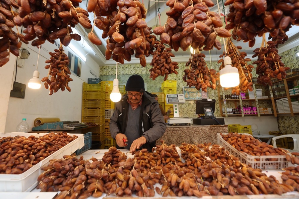 التمور فى تونس (3)