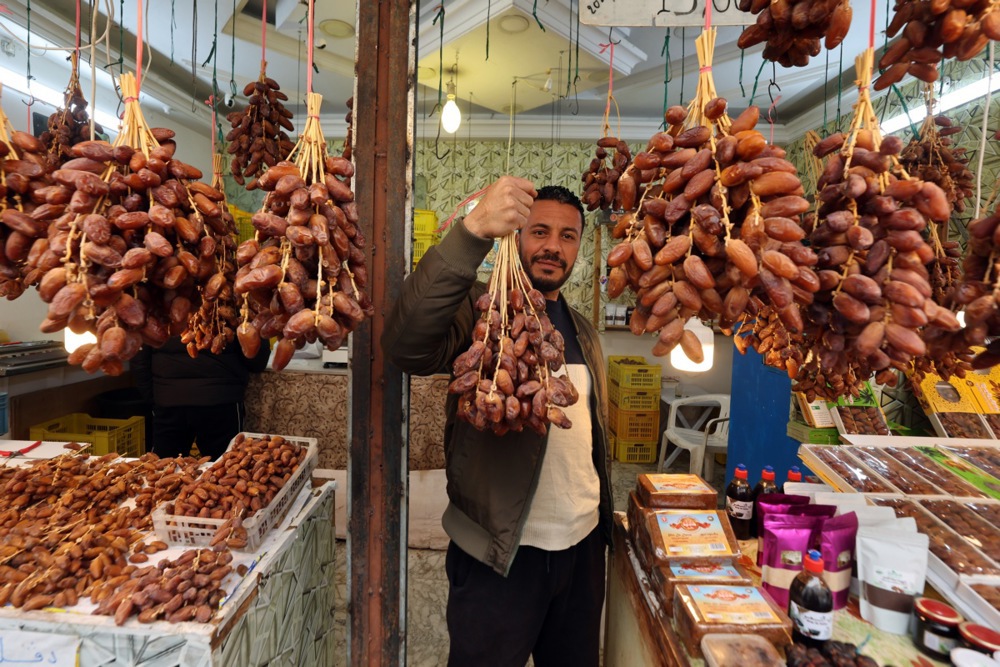 التمور فى تونس (4)