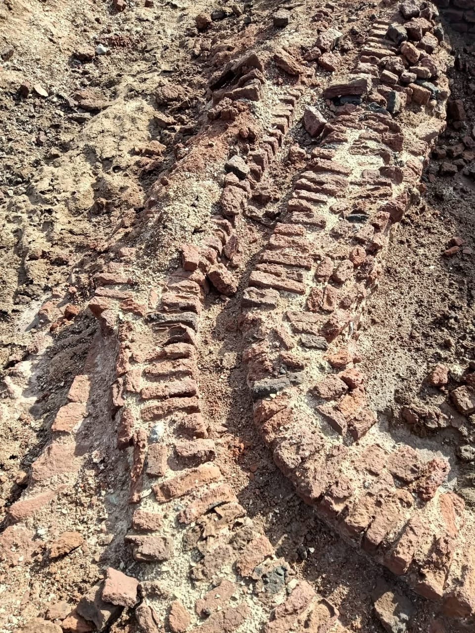 عملات وفخار مستخرج بالجزيرة.