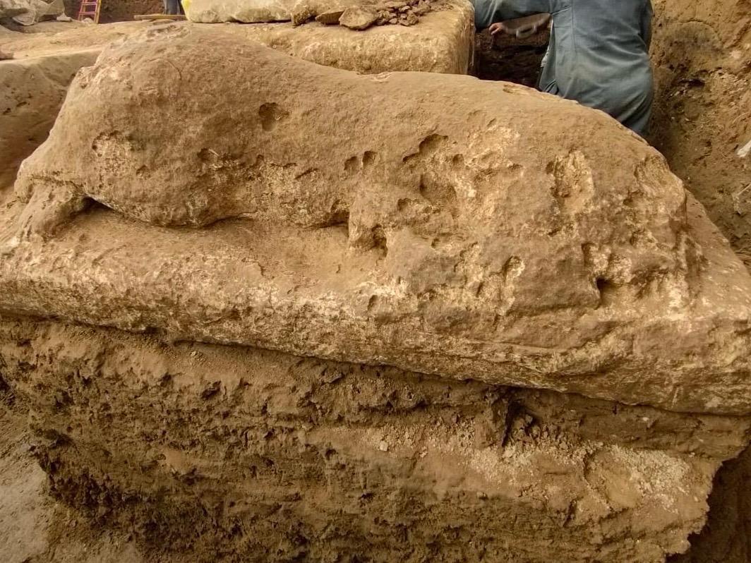 WhatsApp Image 2026-02-19 at 1.14.25 PM WhatsApp Image 2026-02-19 at 1.14.25 PM