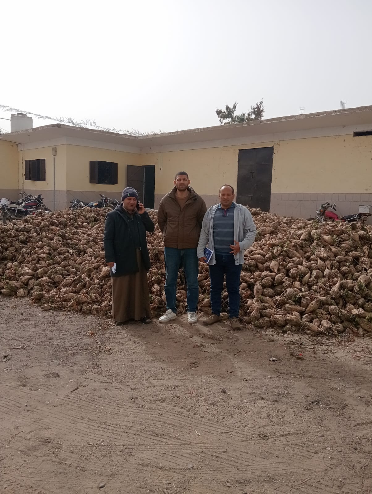 المهندس محمد عكرم مدير ادارة منشاة ابو عمر الزراعية، وفرحة الحصاد