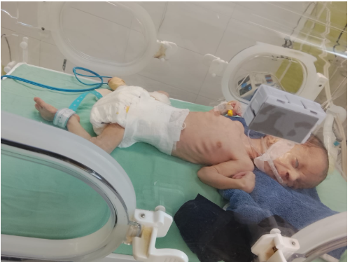 الطفل حسن وهدان