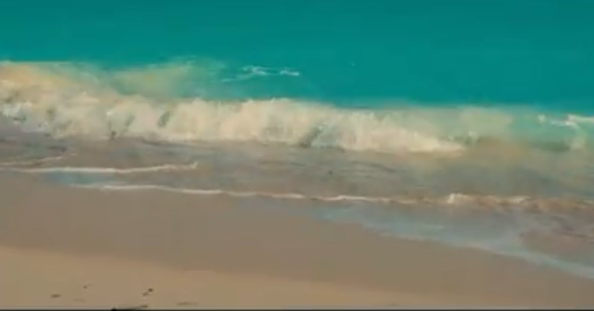 9c4bf884-87ef-425c-a745-963677c5bf7e