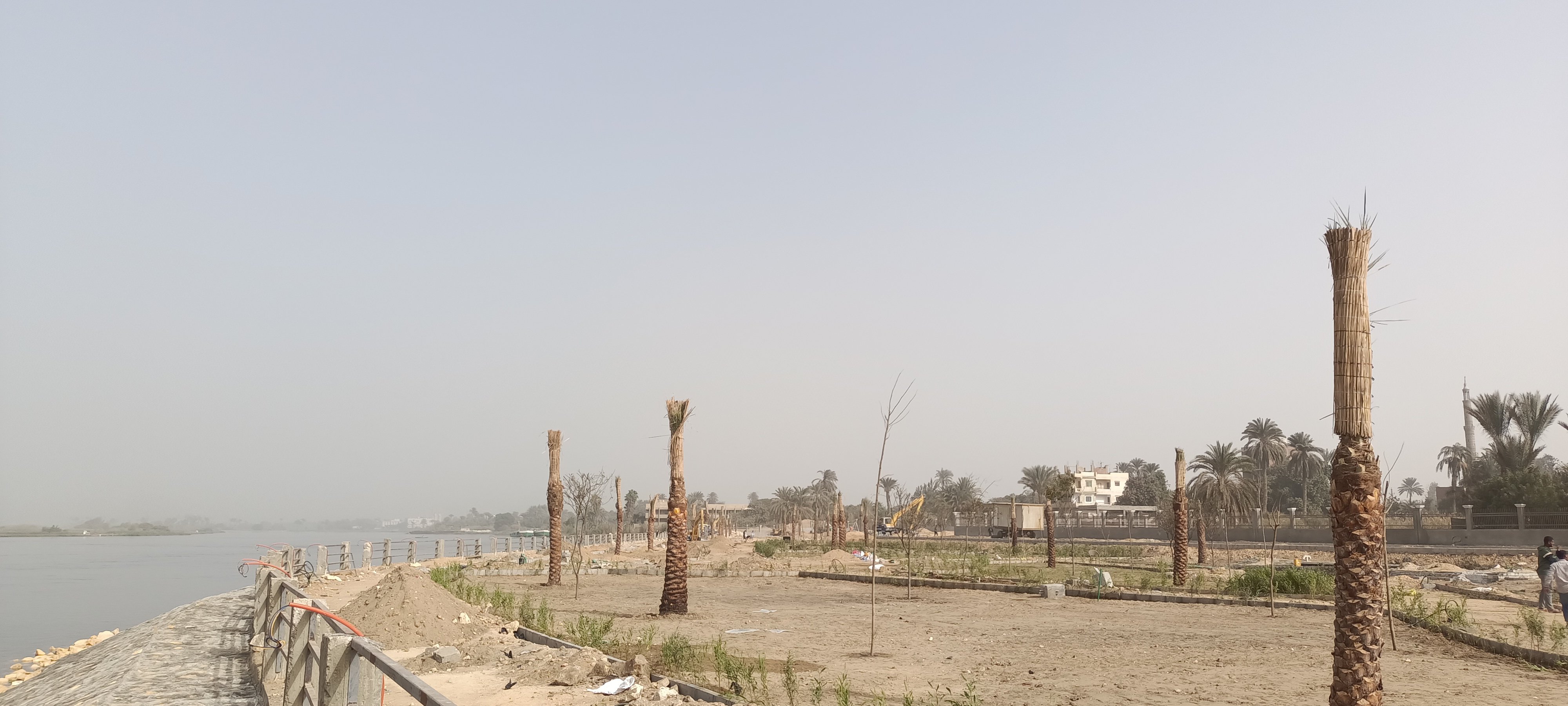 أعمال الزرع والتشجير