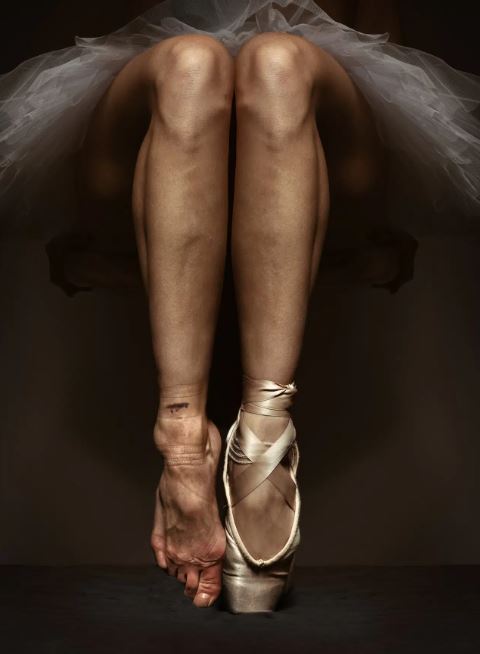 الفائز في فئة التصوير التوضيحي