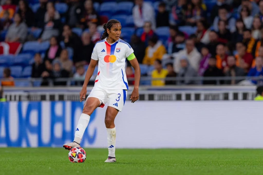 ويندي رينارد الحصن الذي لا يُخترق