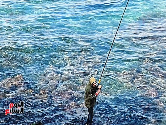 صيد-السنارة صيد-السنارة