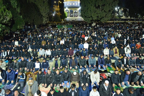 صلاة العشاء والتراويح من المسجد الأقصى صلاة العشاء والتراويح من المسجد الأقصى