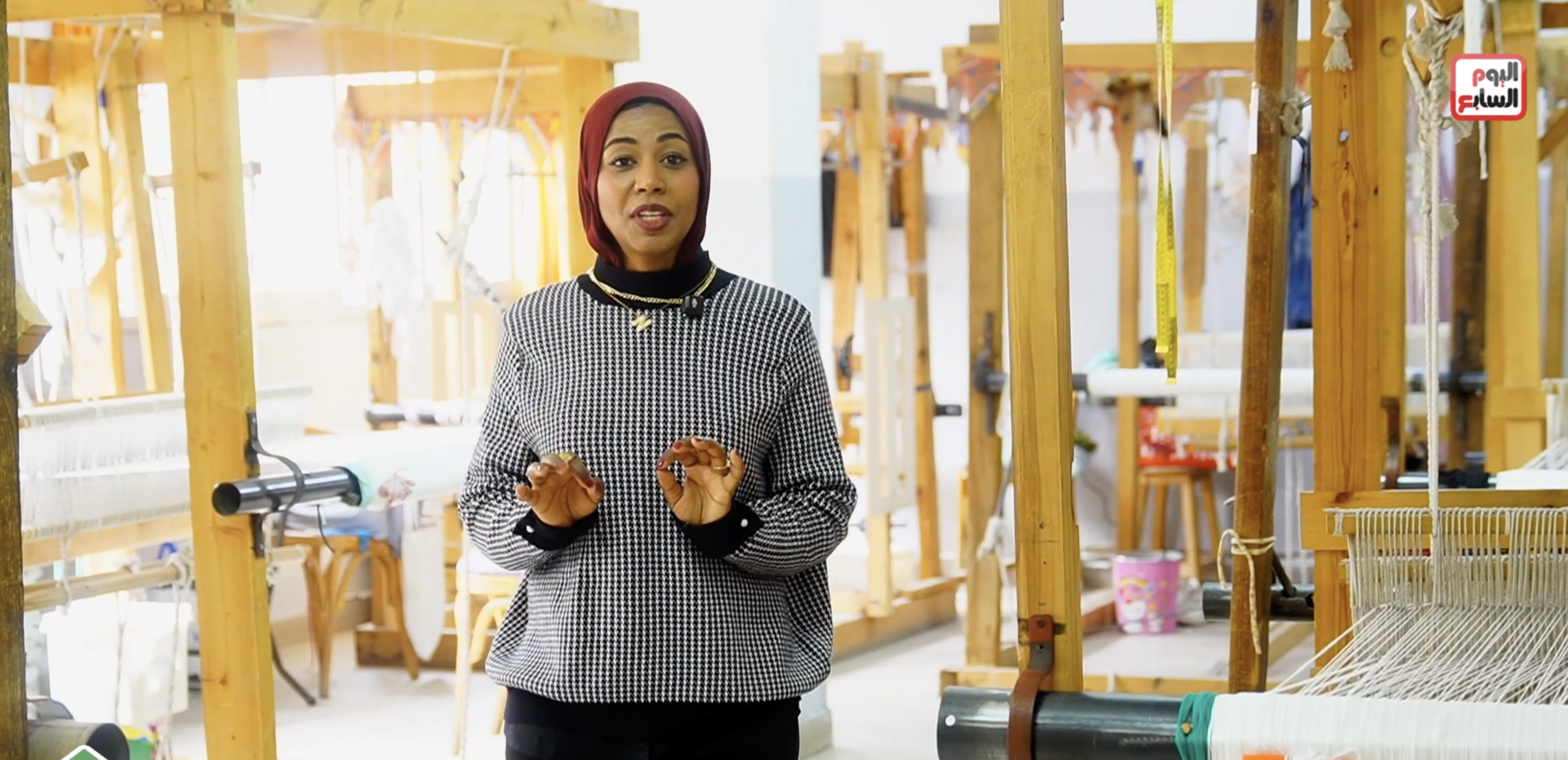 الزميلة نهير عبد النبى