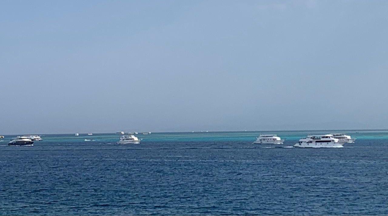 الرحلات البحرية بالبحر الأحمر الرحلات البحرية بالبحر الأحمر