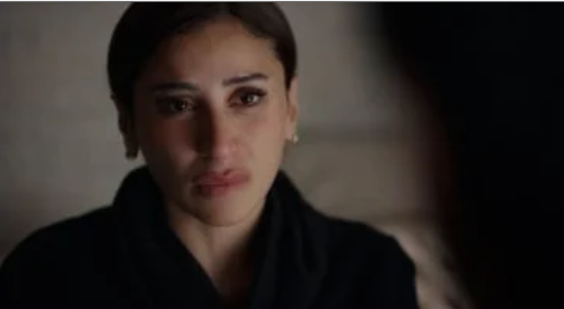 دينا الشربينى دينا الشربينى