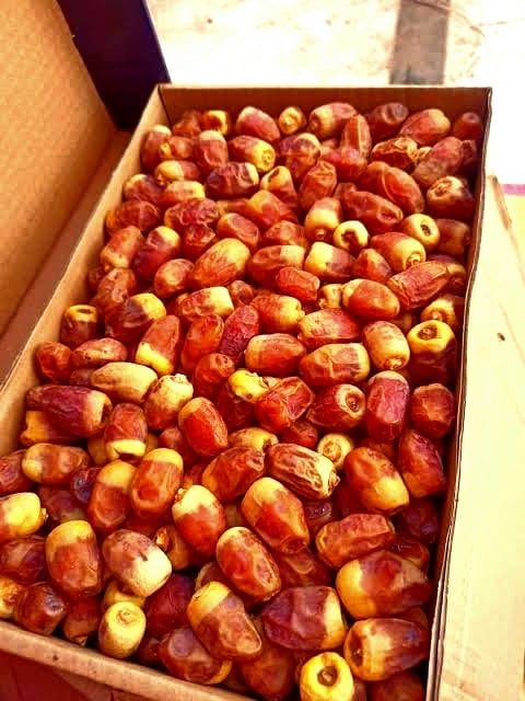 بلح الوادى الجديد الطازج بلح الوادى الجديد الطازج