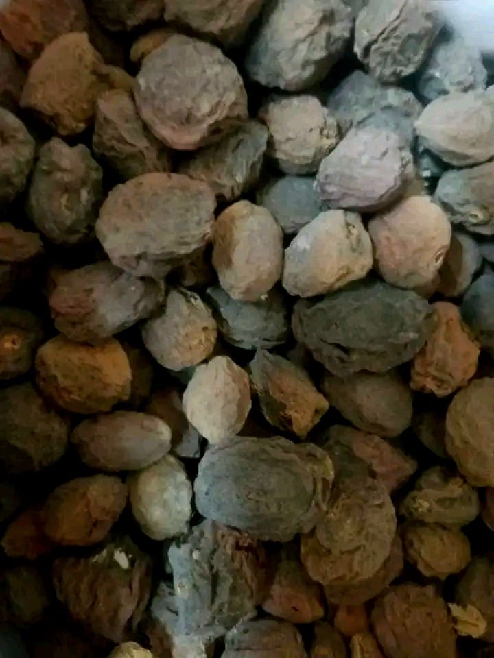 المشمش المجفف ضمن مكونات المريسة المشمش المجفف ضمن مكونات المريسة