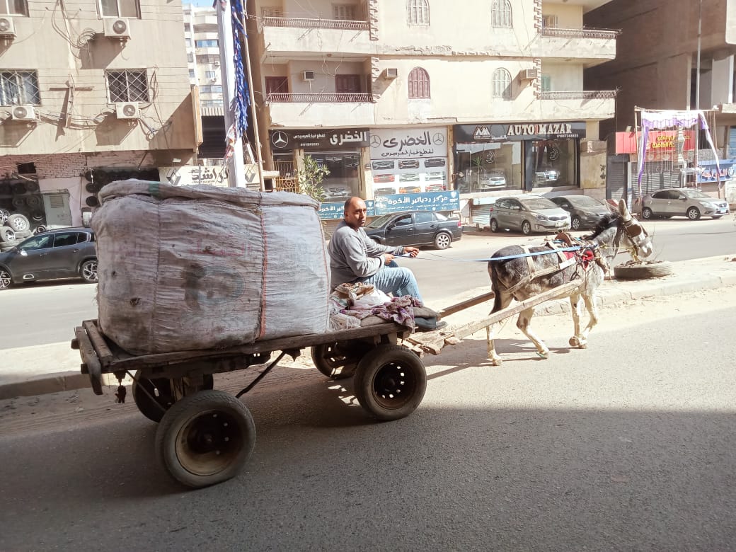 التحفظ على 57 عربة كارو وتروسيكل خلال حملات على النباشين والفريزة فى الجيزة (1)