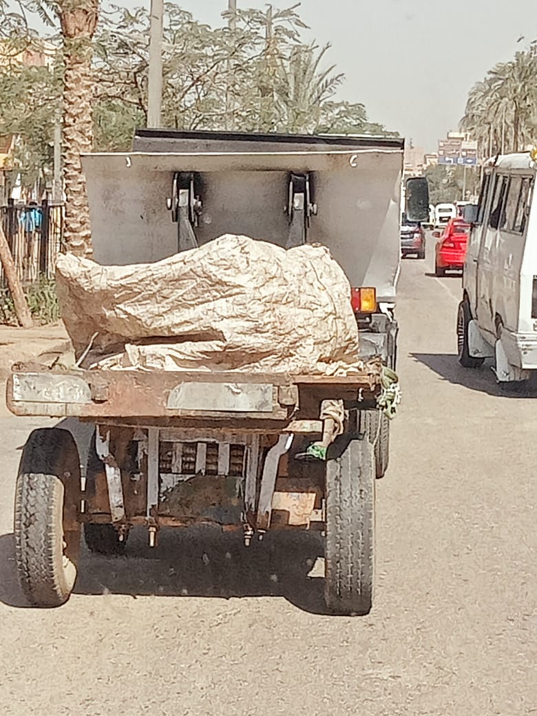 التحفظ على 57 عربة كارو وتروسيكل خلال حملات على النباشين والفريزة فى الجيزة (8)