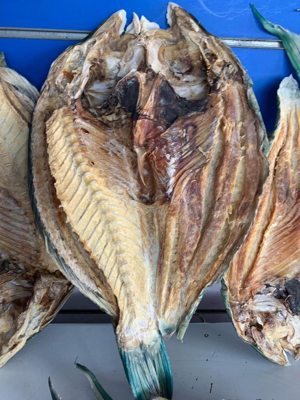 الأسماك المجففه الأسماك المجففه