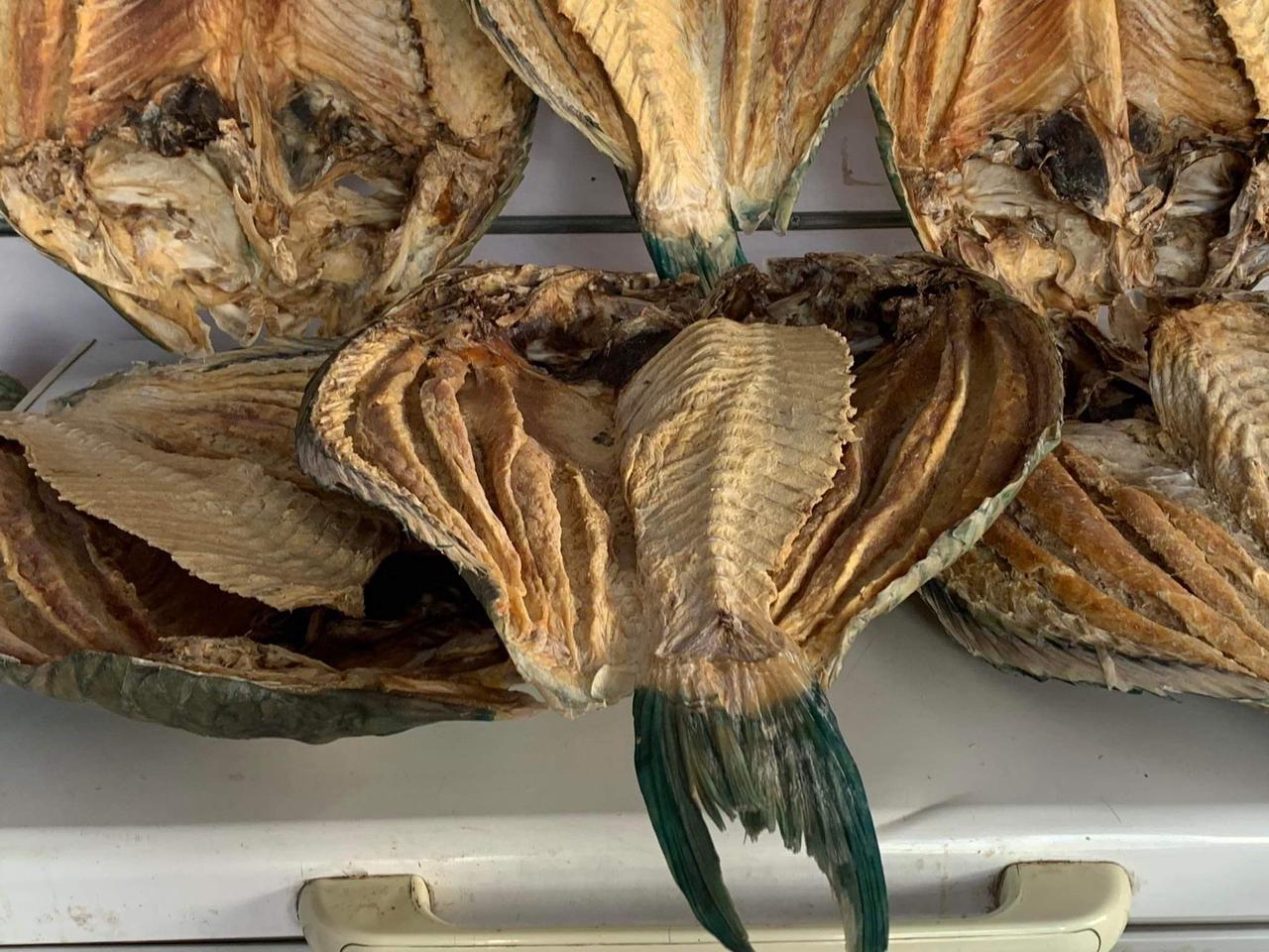 الرهو والحريت أشهر الأسماك التي تجفف الرهو والحريت أشهر الأسماك التي تجفف