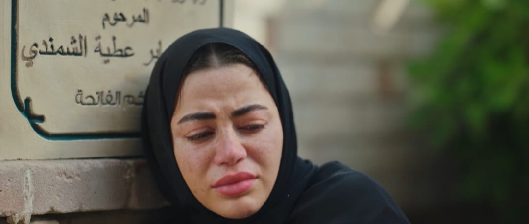 bb167d38-e73e-4613-b0c8-7b221b58d521