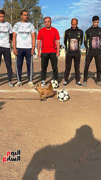 لقاء-الفراخ-بالدقهلية لقاء-الفراخ-بالدقهلية