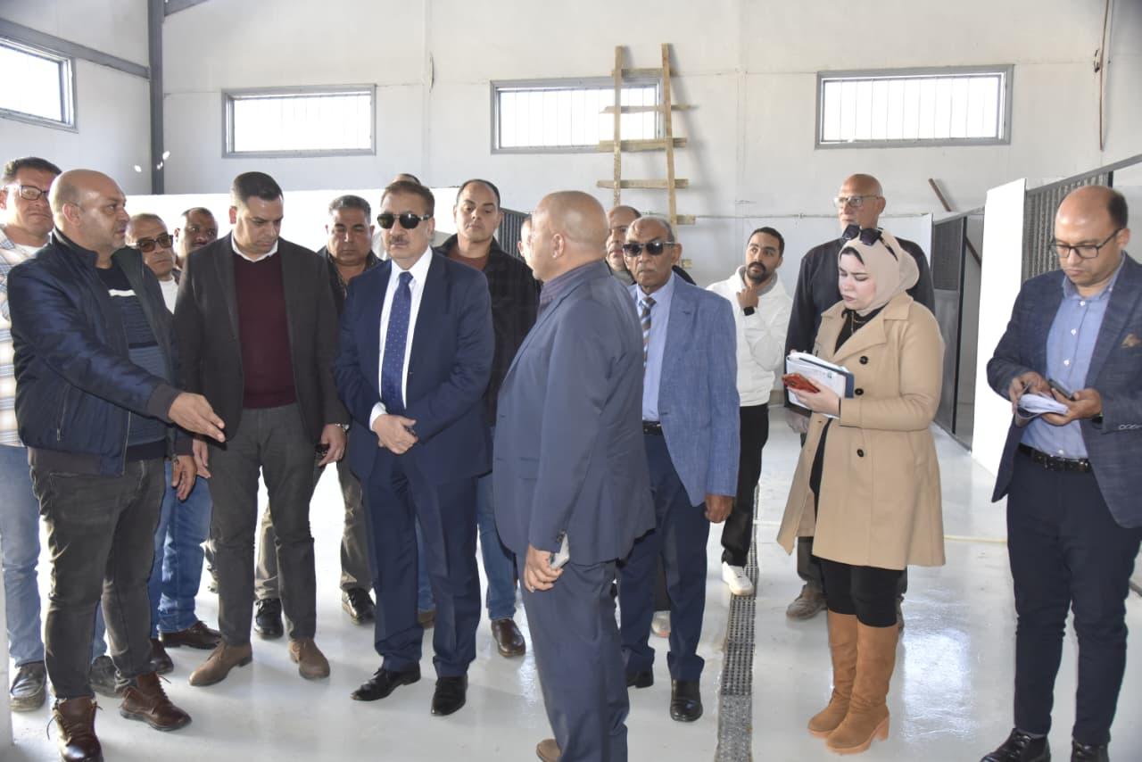 المخافظ في شيلتر الكلاب