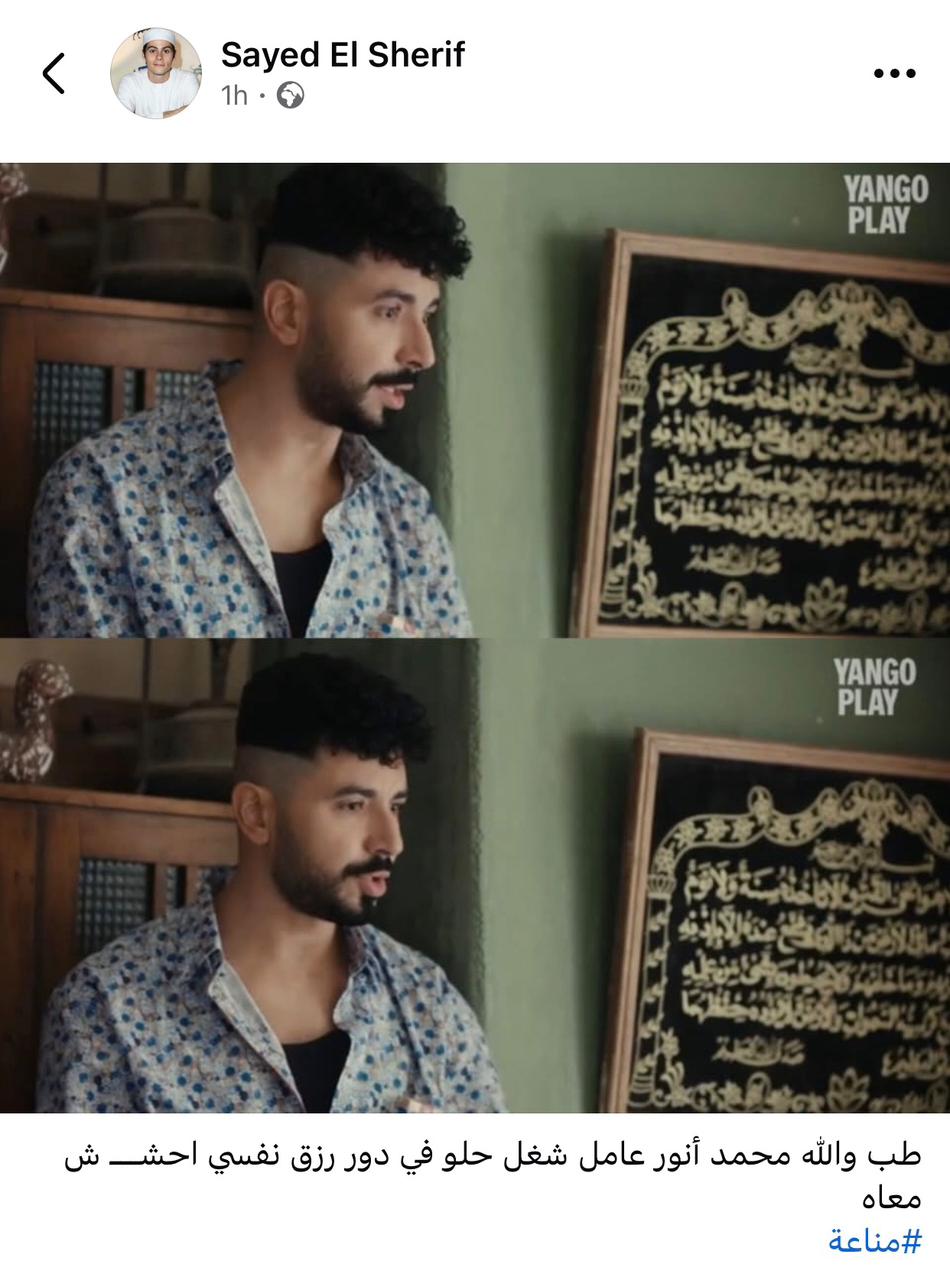 محمد أنور