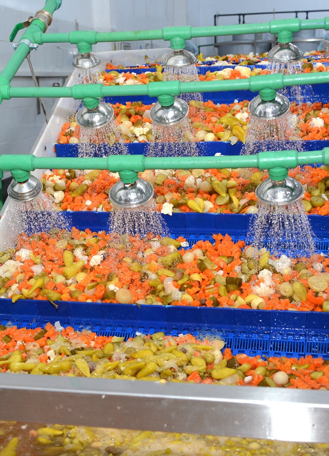 مصانع المخلل بشبراتنا (1)