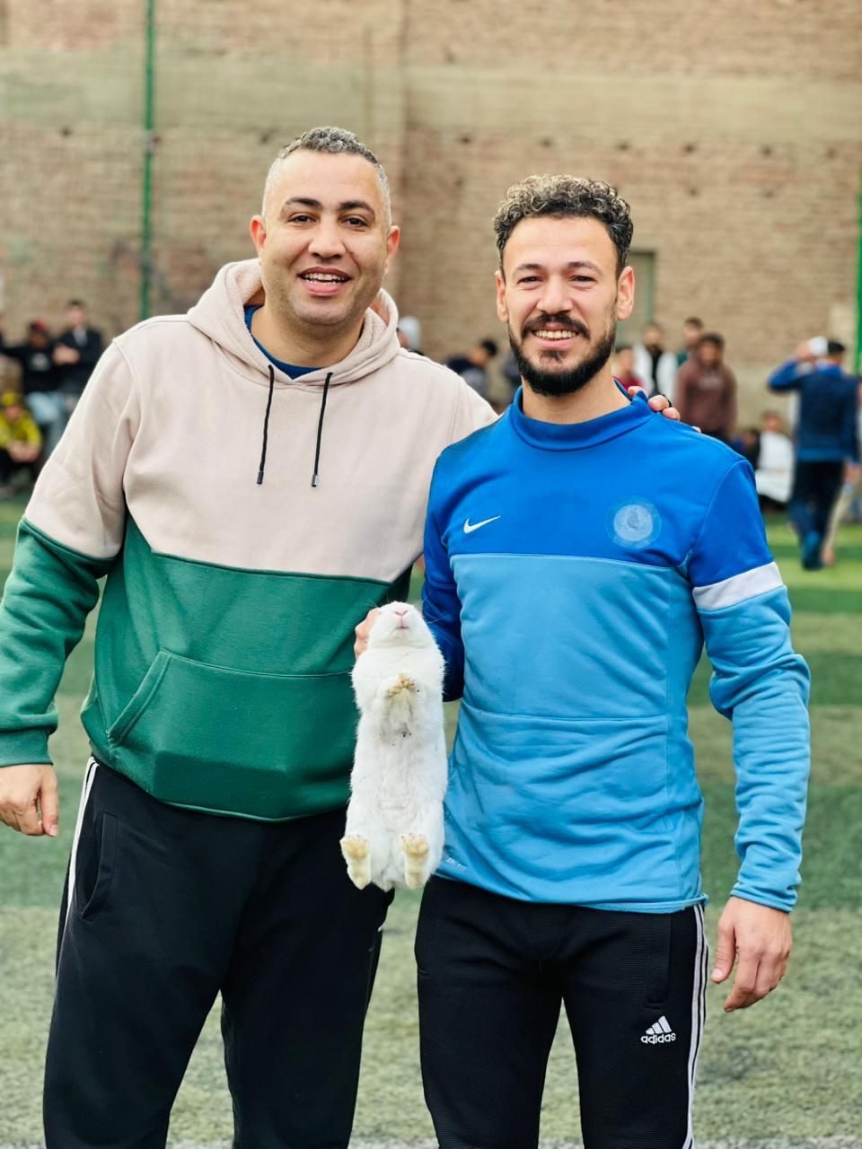 أرنب جائزة أفضل لاعب