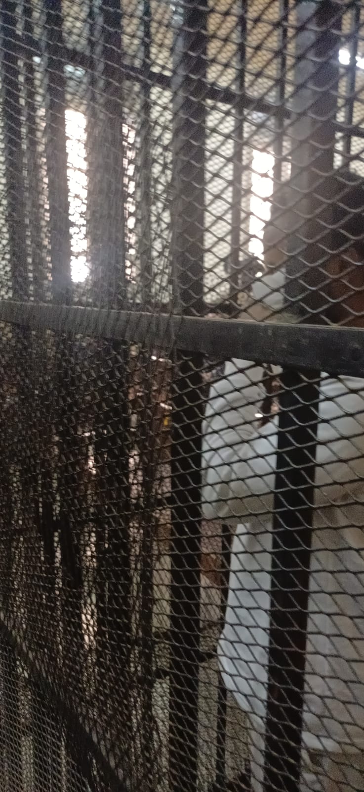 WhatsApp Image 2026-02-26 at 2.12.55 PM