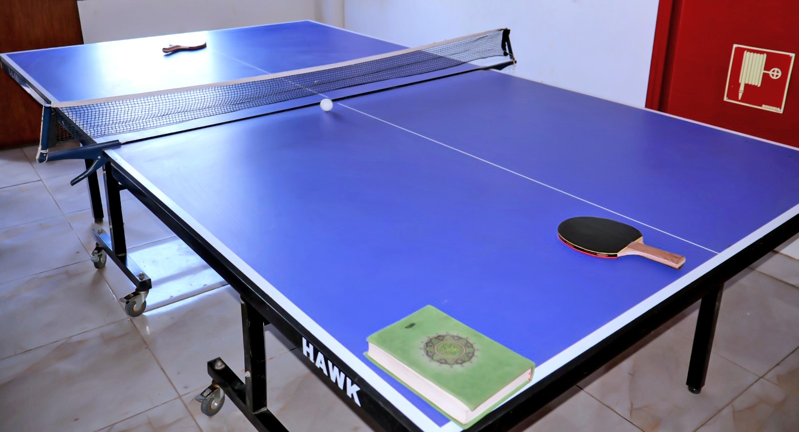 تنس الطاولة