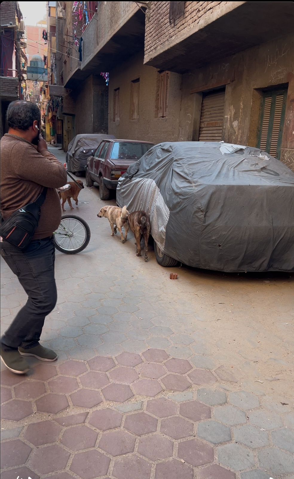 جانب من حملة التطعيم