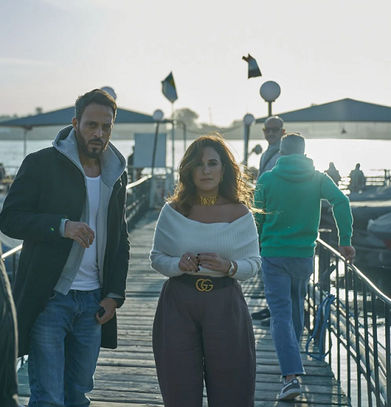 شيري عادل في فن الحرب