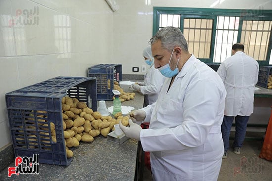 منتجات البطاطس