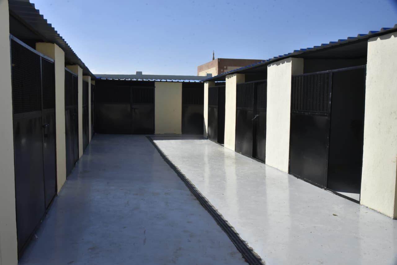 الشلتر ل الكلاب