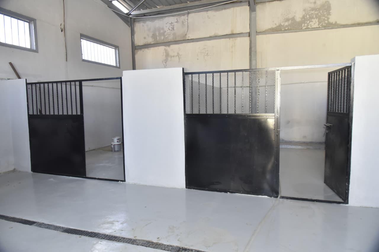 جانب من الشلتر