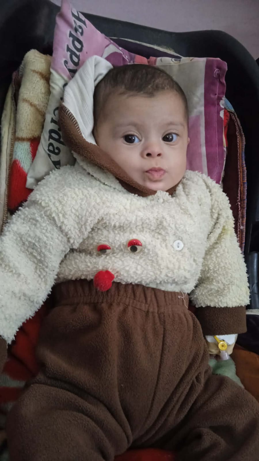 الطفلة أمينة قشطة