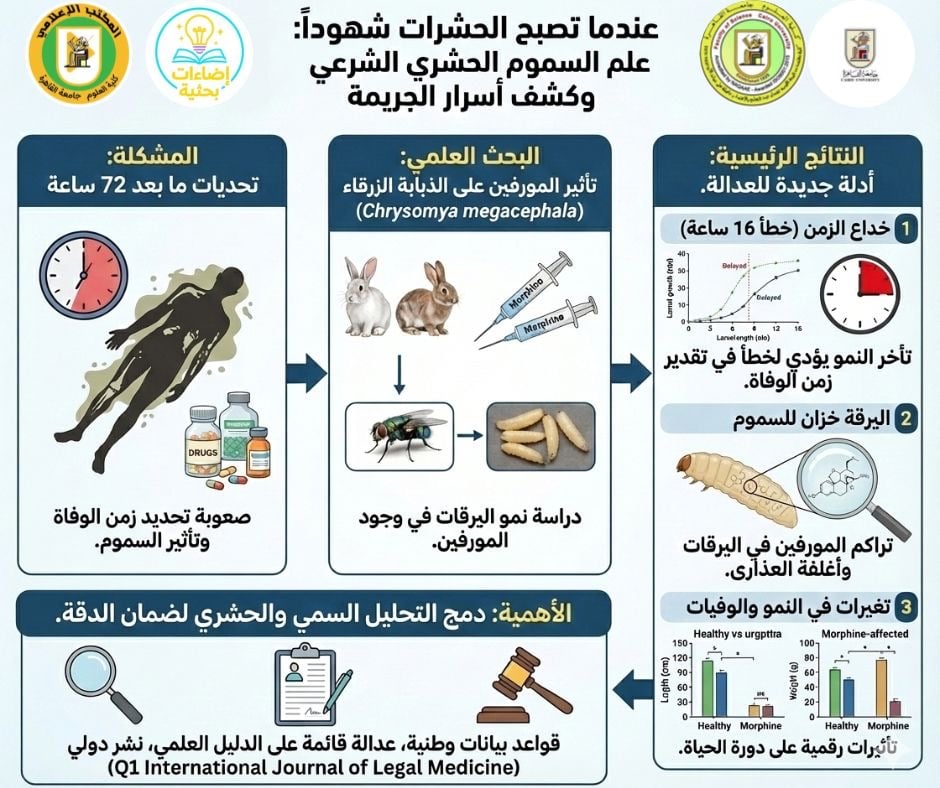 بحث علمى جديد