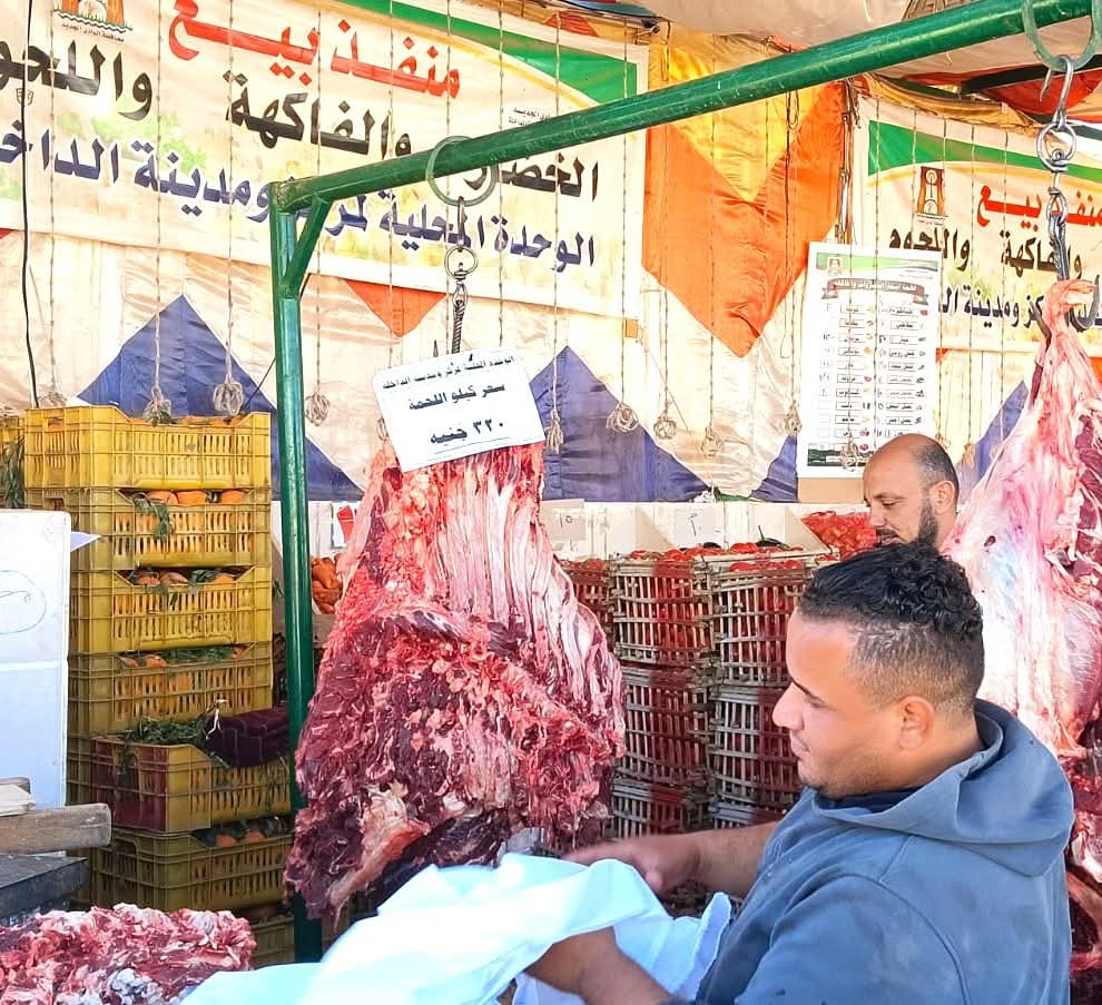 منافذ البيع الحكومية المخفضة بالوادى الجديد  (12)