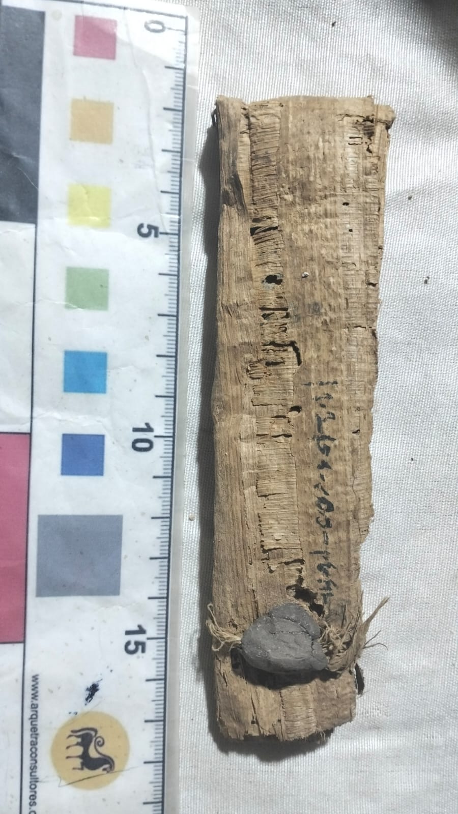 حجم البرديات التى تم العثور عليها فى الاكتشاف