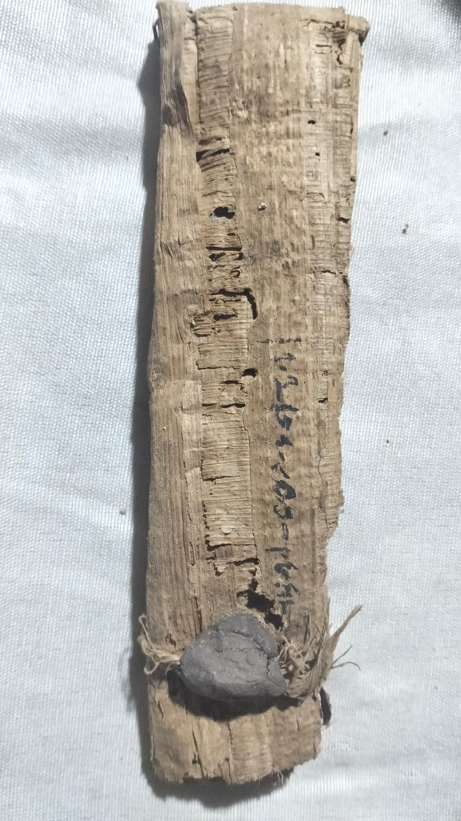 أحد البرديات التى تم العثور عليها فى الاكتشاف