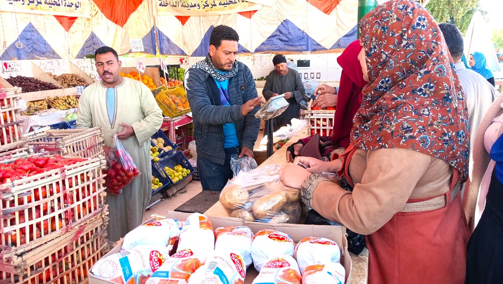 منافذ البيع الحكومية المخفضة بالوادى الجديد  (1)