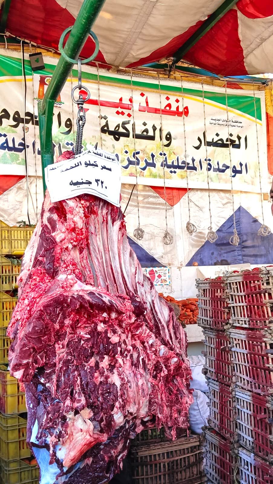 منافذ البيع الحكومية المخفضة بالوادى الجديد  (13)