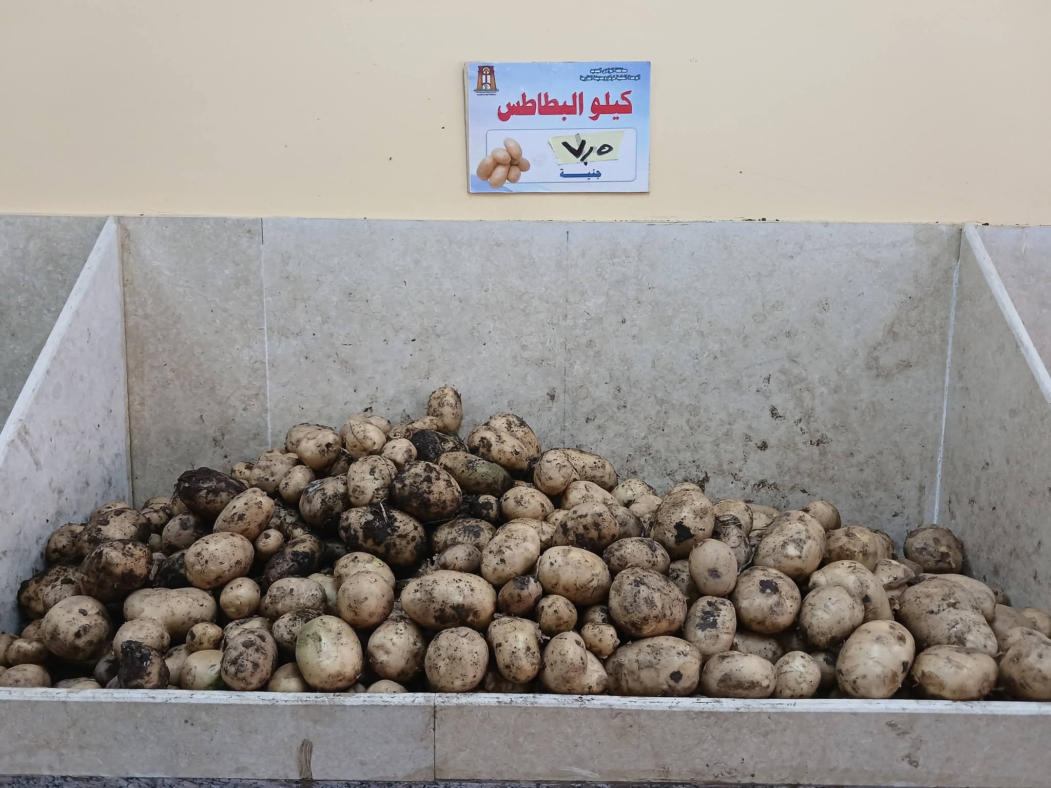 منافذ البيع الحكومية المخفضة بالوادى الجديد  (16)