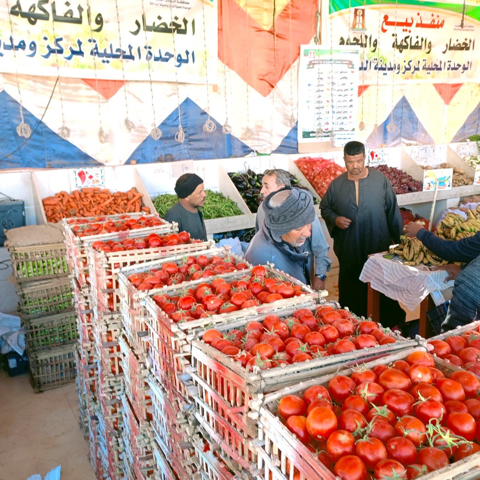 منافذ البيع الحكومية المخفضة بالوادى الجديد  (4)